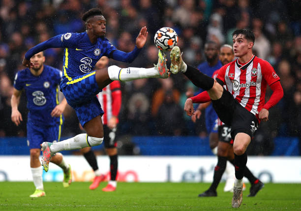 林的影响 林的影响