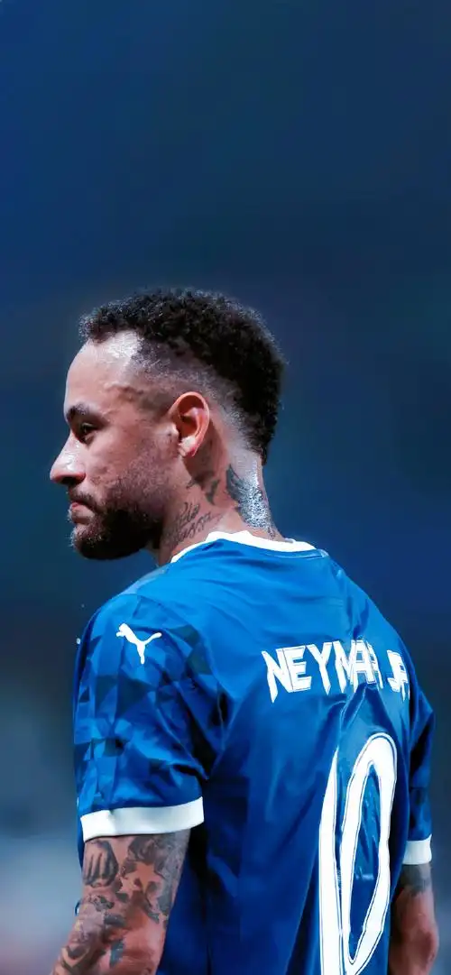 毛球实力的 毛球实力的