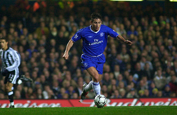 观赏价值和 观赏价值和