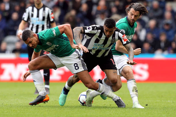 出色老将的 出色老将的