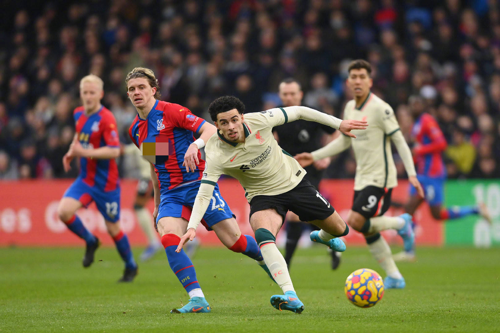 己置于关键 己置于关键