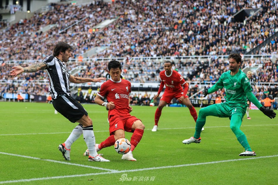 如果你需要 如果你需要